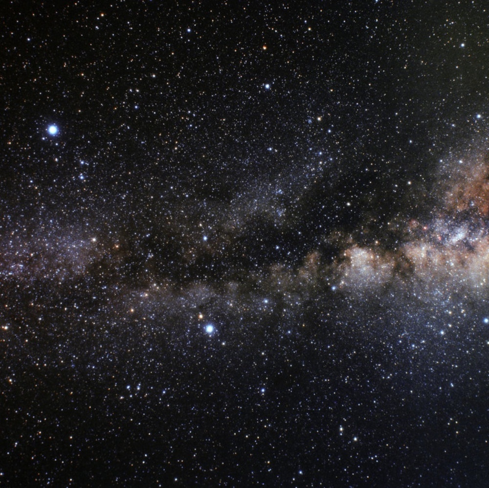 Meet your Posher, Starr